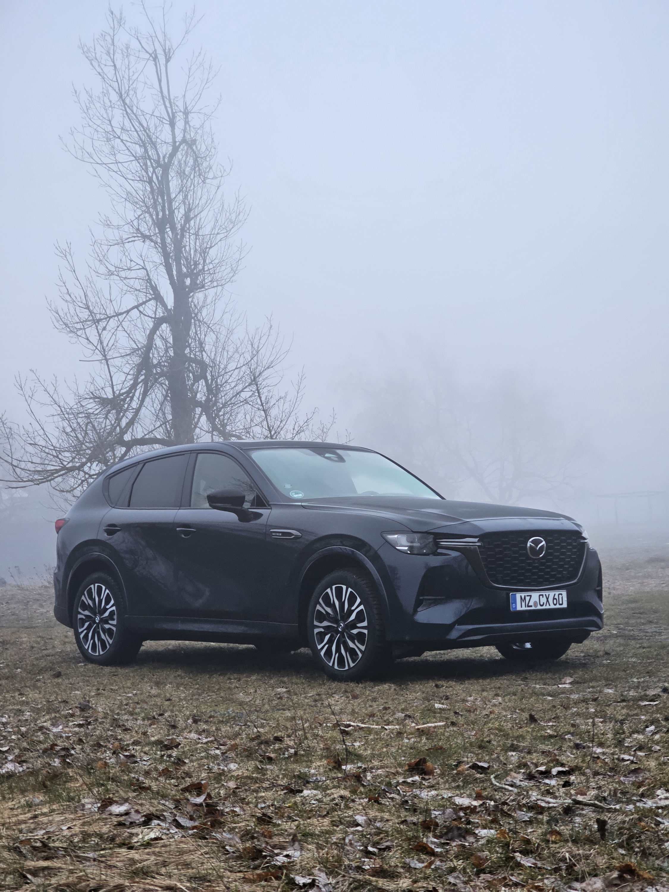 CX60 im Nebel auf der Hohen Geba